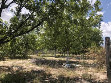 Terreno en venta en Los Hoyos El Potrero, Parras, Coahuila de Zaragoza