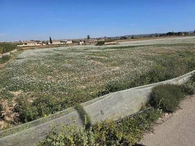 Terreno en Venta en Los Montesinos