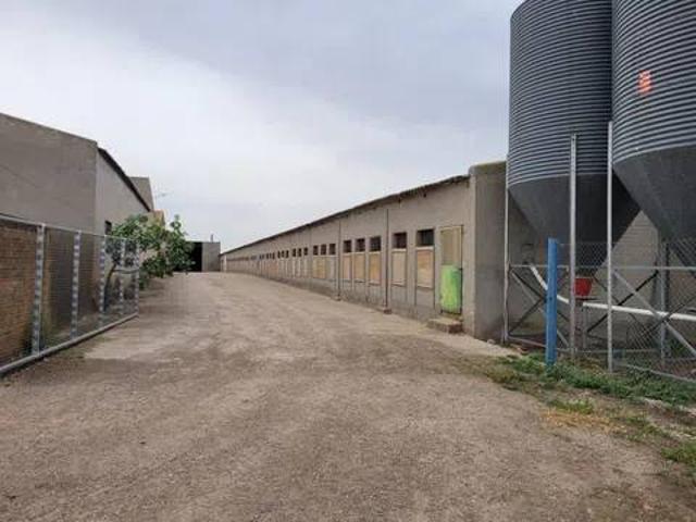 Terreno en Venta en Los Navalmorales
