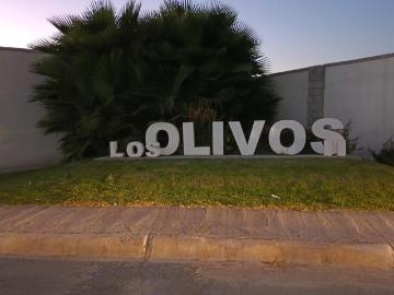 TERRENO EN VENTA EN LOS OLIVOS, G?MEZ PALACIO,DGO
