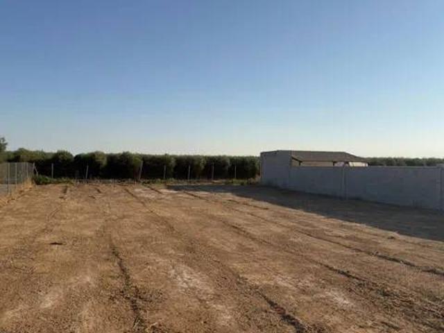 Terreno en Venta en Los Palacios y Villafranca