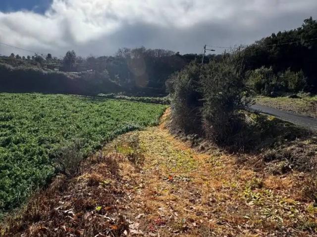 Terreno en Venta en Los Realejos