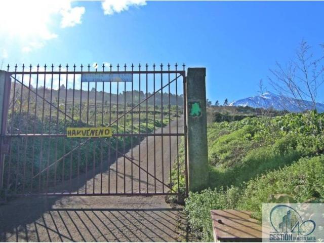 Terreno en Venta en Los Realejos