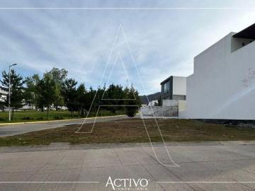 Terreno en venta en Los Robles Residencial, Coto Encinos #24H