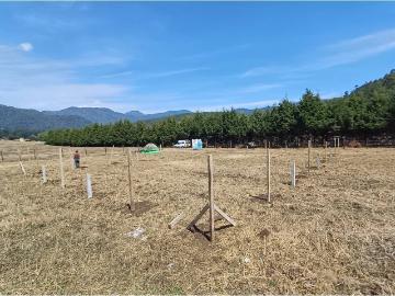 Terreno en venta en Los Saúcos, Valle de Bravo, Estado De México
