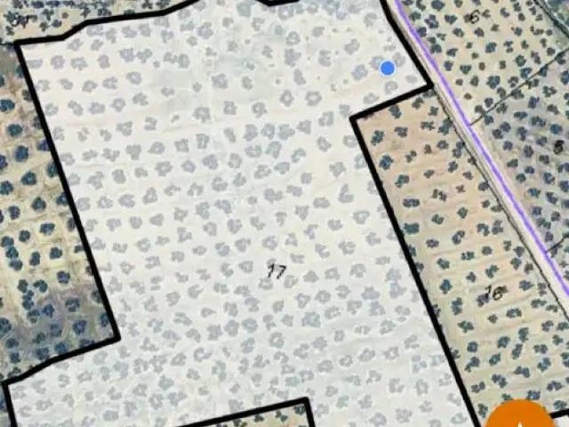 Terreno en Venta en Lopera