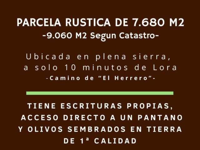 Terreno en venta en Lora del Río, Lora Del Rio