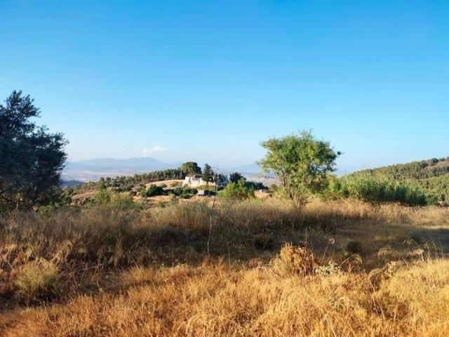Terreno en venta en Lorca, Consejero