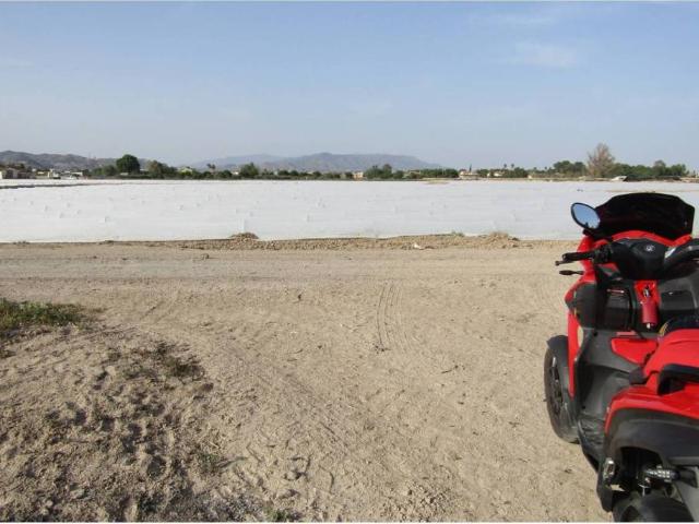Terreno en Venta en Lorca