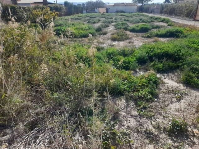 Terreno en Venta en Lorca