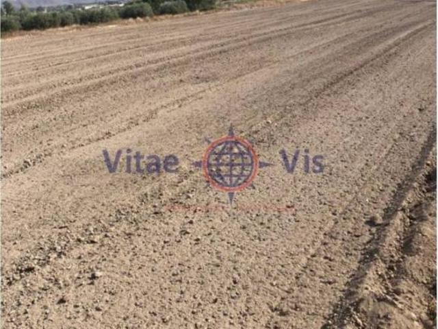 Terreno en Venta en Lorca