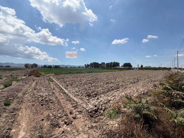 Terreno en Venta en Lorca