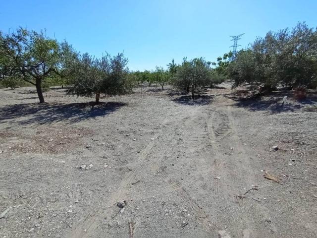 Terreno en Venta en Lorca