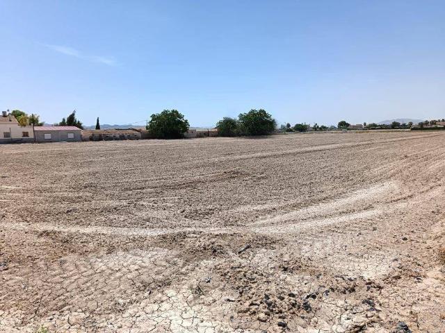 Terreno en Venta en Lorca
