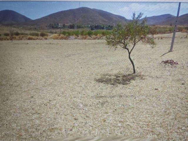 Terreno en Venta en Lorca