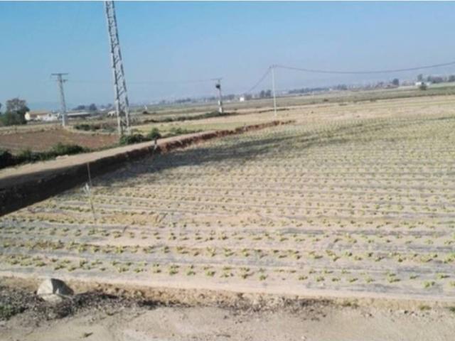 Terreno en Venta en Lorca
