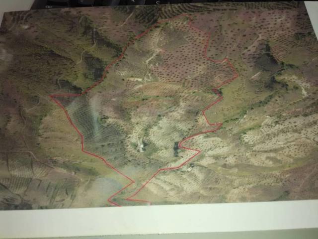 Terreno en Venta en Lorca