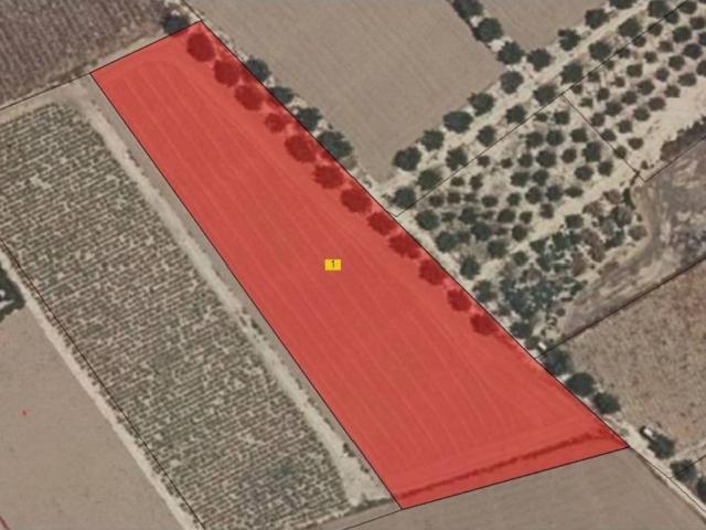 Terreno en Venta en Lorca