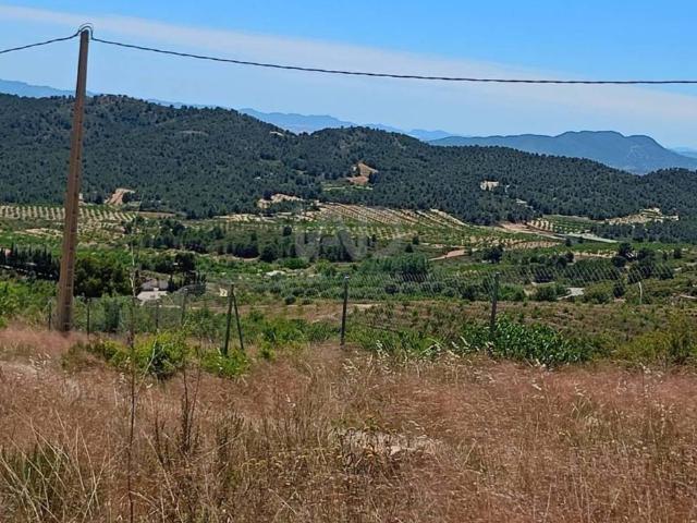 Terreno en Venta en Lorca