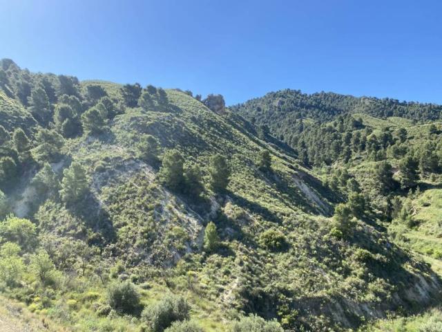 Terreno en Venta en Lorca