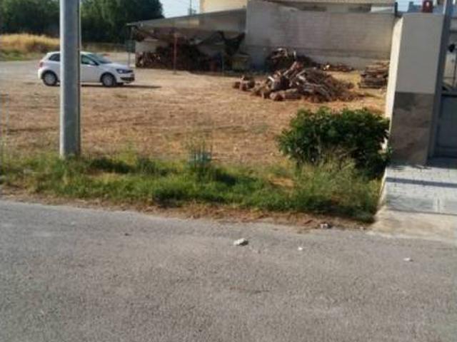 Terreno en Venta en Lorca