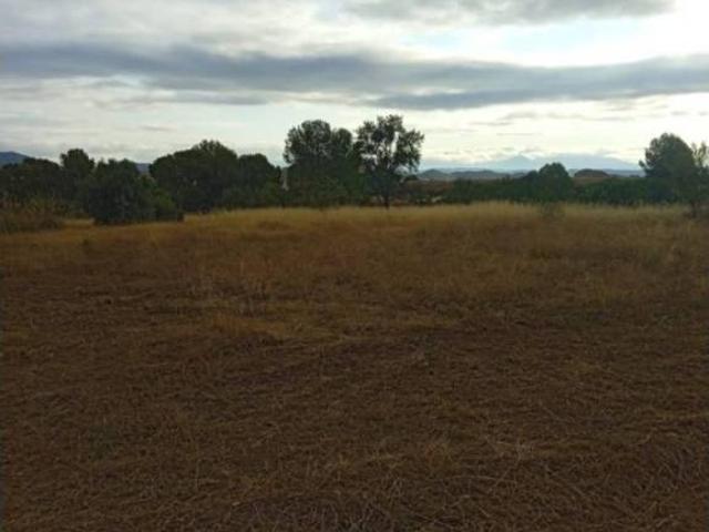 Terreno en Venta en Lorca
