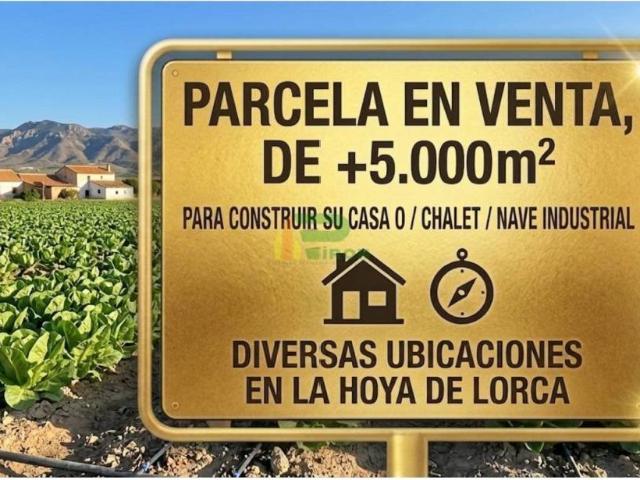 Terreno en Venta en Lorca