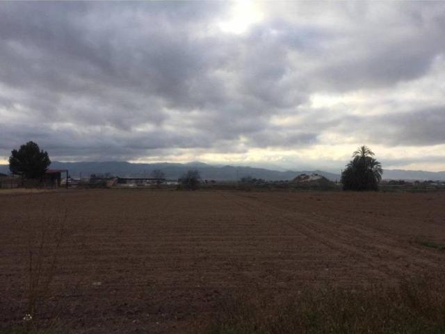 Terreno en Venta en Lorca
