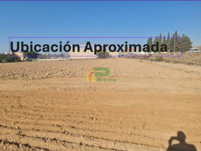 Terreno en Venta en Lorca