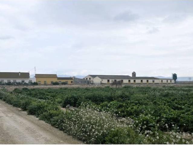 Terreno en Venta en Lorca