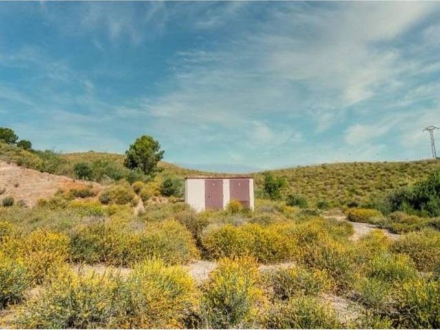 Terreno en Venta en Lorca