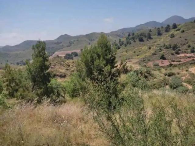 Terreno en Venta en Lorca