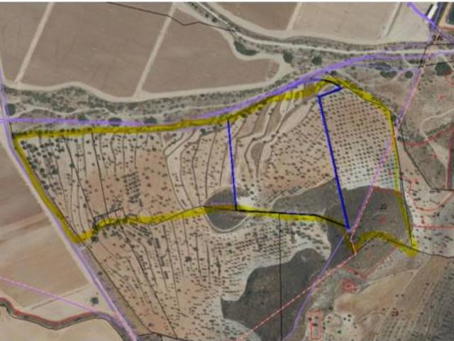 Terreno en Venta en Lorca
