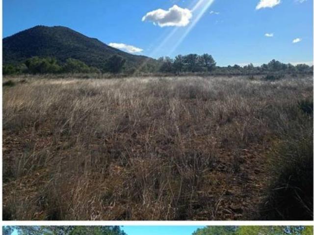 Terreno en Venta en Lorca