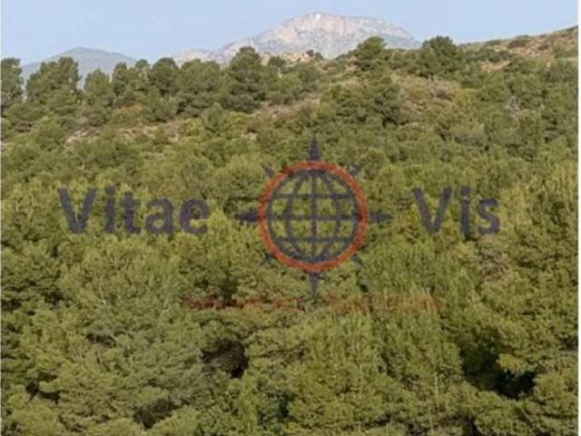 Terreno en Venta en Lorca