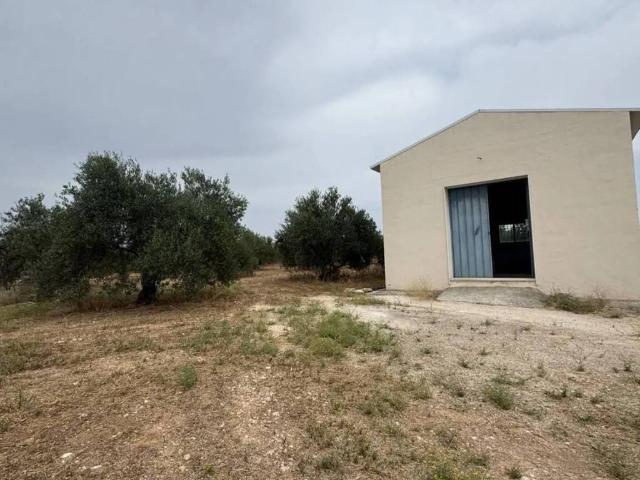 Terreno en Venta en Puente Genil