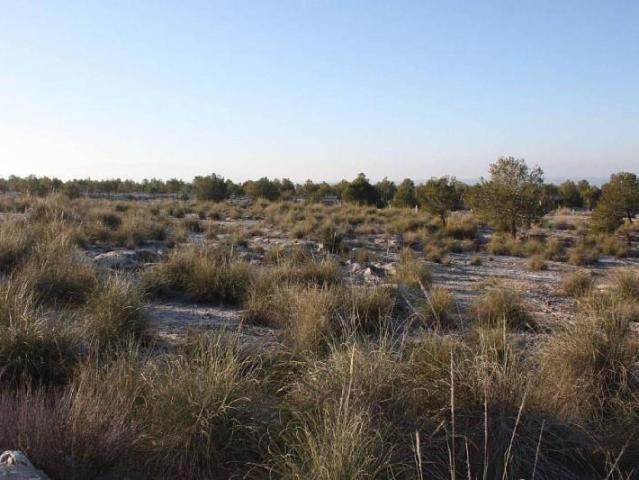 Terreno en venta en Puebla de Don Fadrique, Andalucia