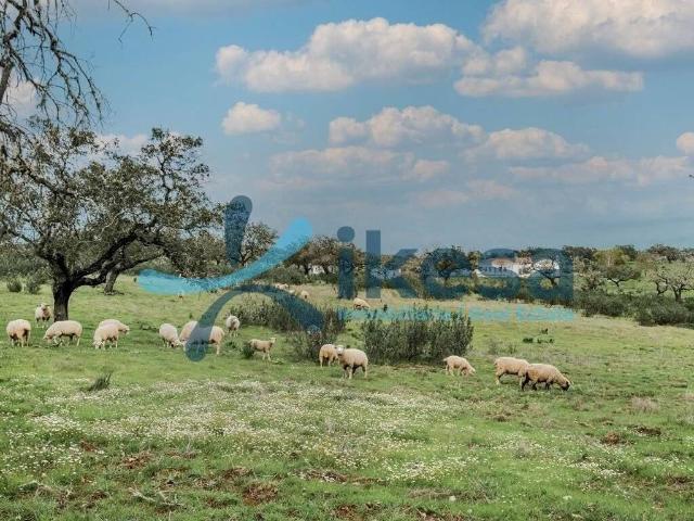 Terreno en Venta en Puebla de Guzmán