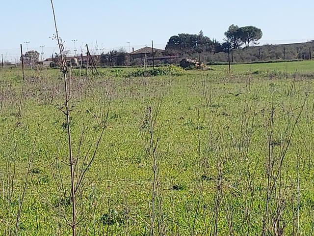 Terreno en venta en Puebla de Sancho Pérez