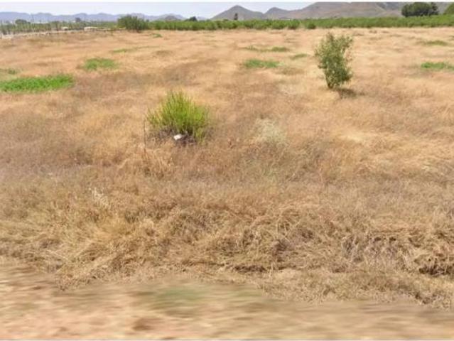 Terreno en Venta en Puerto Lumbreras