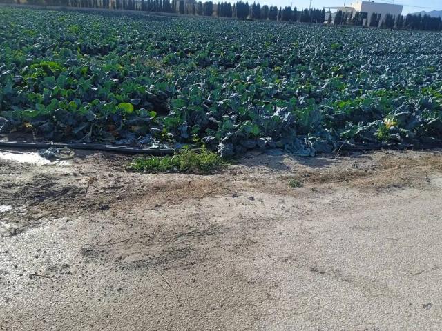 Terreno en Venta en Puerto Lumbreras