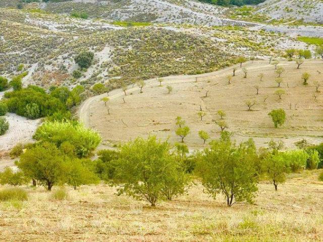 Terreno en venta en Puerto Lumbreras, Puerto Lumbreras