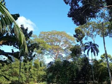Terreno en Venta en Puerto Maldonado