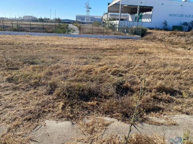 Terreno en Venta en Puerto Real