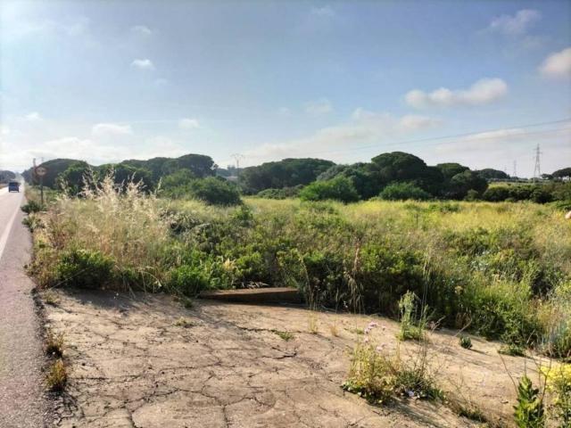 Terreno en Venta en Puerto Real
