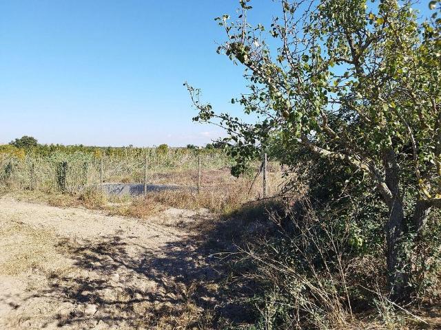 Terreno en venta en Puigverd de Lleida, de 8.000 m² por 19.000