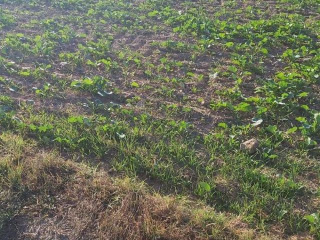 Terreno en venta en Puigverd de Lleida, de 9.300 m² por 19.800