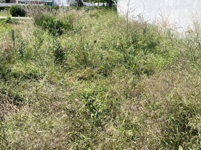 Terreno en venta en Puig, Puig