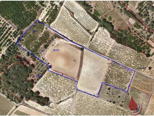 Terreno en Venta en Puigpelat