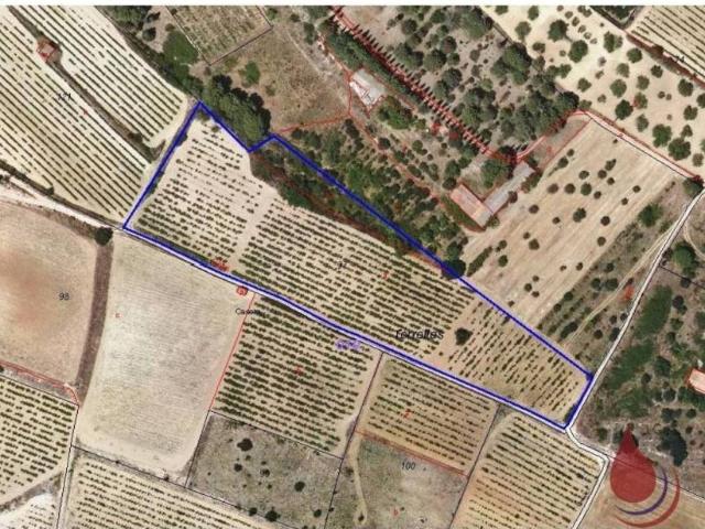 Terreno en Venta en Puigpelat